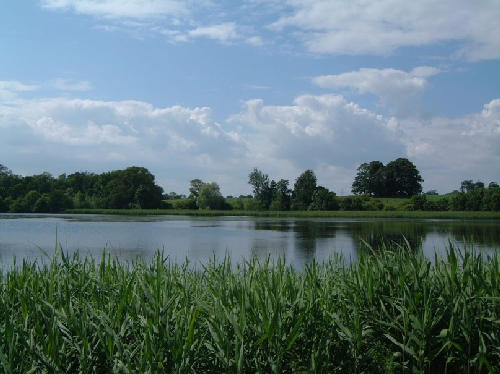 The Hirsel Country Park