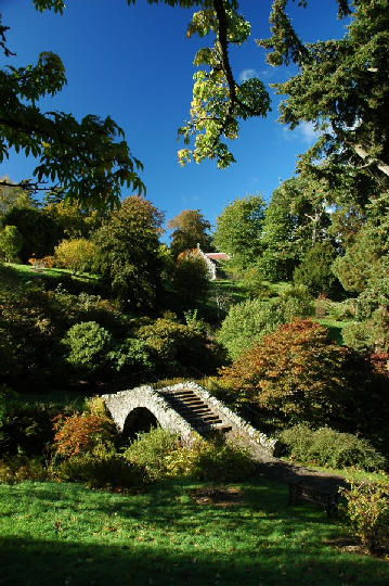 Dawyck Botanic Garden