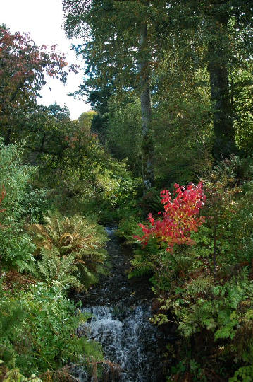 Dawyck Botanic Garden