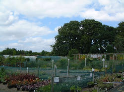 Ford Nursery, Scottish Borders