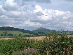Black Hill from the foot of the Eildons, Scottish Borders