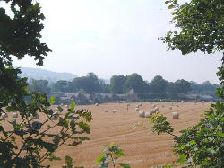 Across the Cricket Park, Scottish Borders