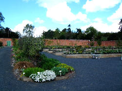 Across Woodside Nursery, Scottish Borders