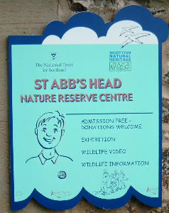St Abbs Head Nature Reserve, Scottish Borders