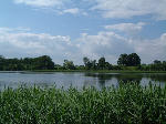 The Lake, Scottish Borders