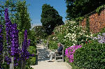 A Herbaceous Border, Scottish Borders