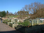 Part of the Outside Area, Scottish Borders