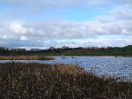 View across Bemersyde Moss, Scottish Borders