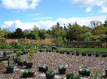 Part of the ASK Demonstration Area and Woodside Nursery, Scottish Borders