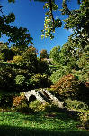 Dawyck in October, Scottish Borders