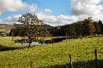 The Trout Pond, Scottish Borders