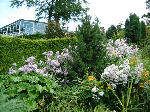 The Riverside Walk, Teviot Water Gardens, Scottish Borders