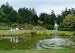 Across the Pond in August, Scottish Borders