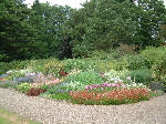 Herbaceous Border August, Scottish Borders