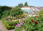 Harmony Herbaceous Border, Scottish Borders