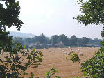 The Cricket Field, Harestanes, Scottish Borders