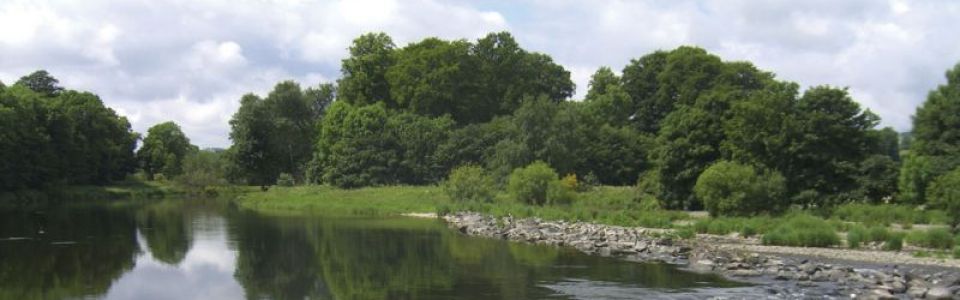 The River Tweed