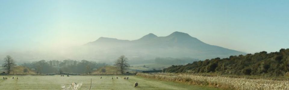 The Eildons