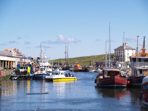 eyemouth seafood